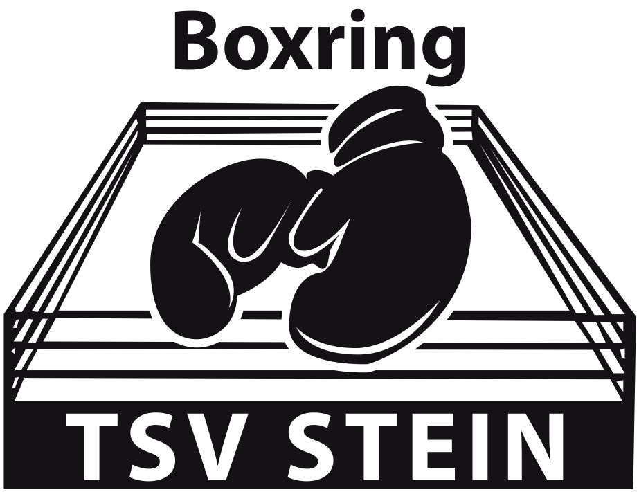 Boxring TSV Stein